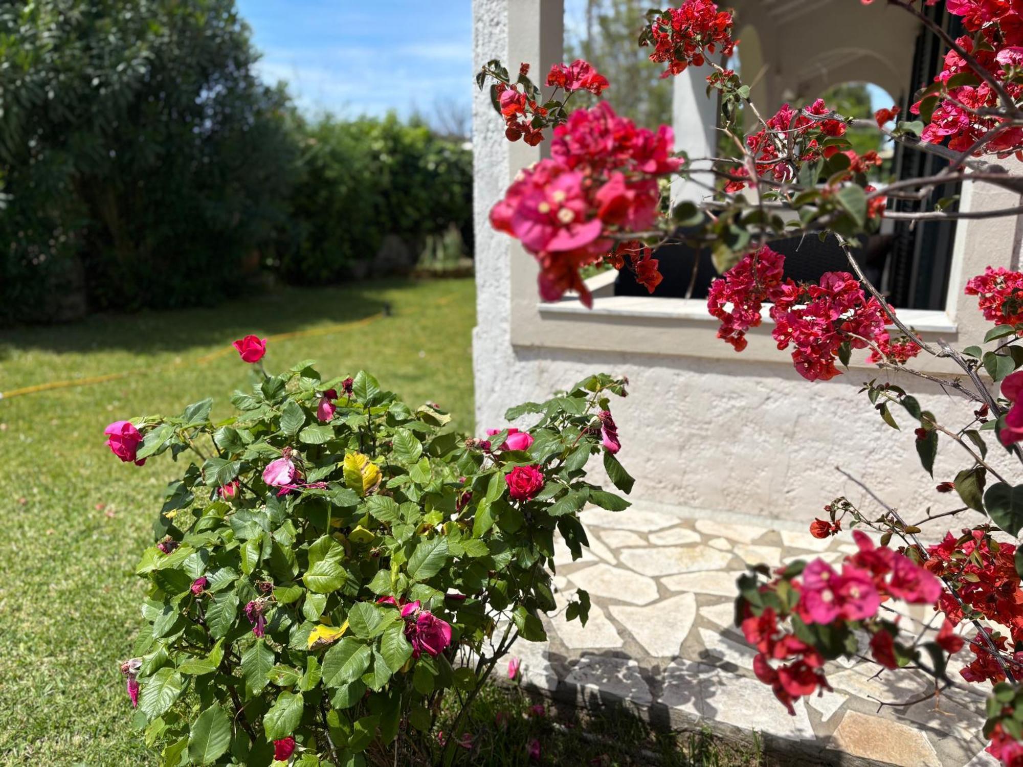 Sirios Acharavi (Corfu) Exterior foto