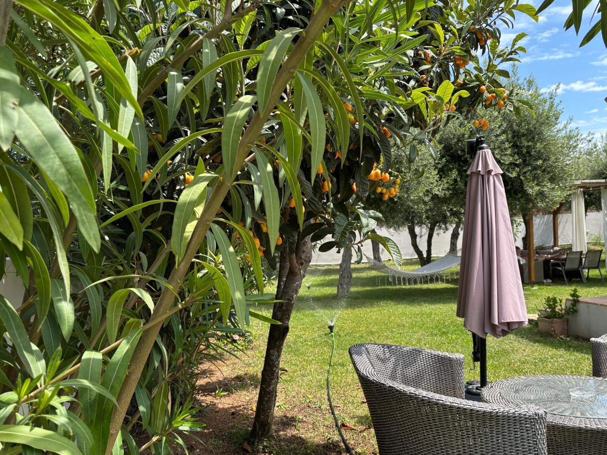 Sirios Acharavi (Corfu) Exterior foto